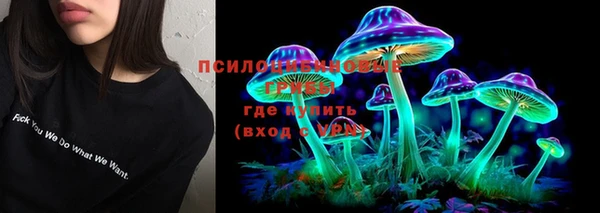 прущий лед Алексин